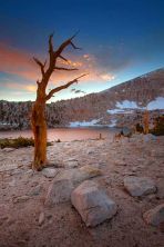 chicken spring lake twilight.jpg